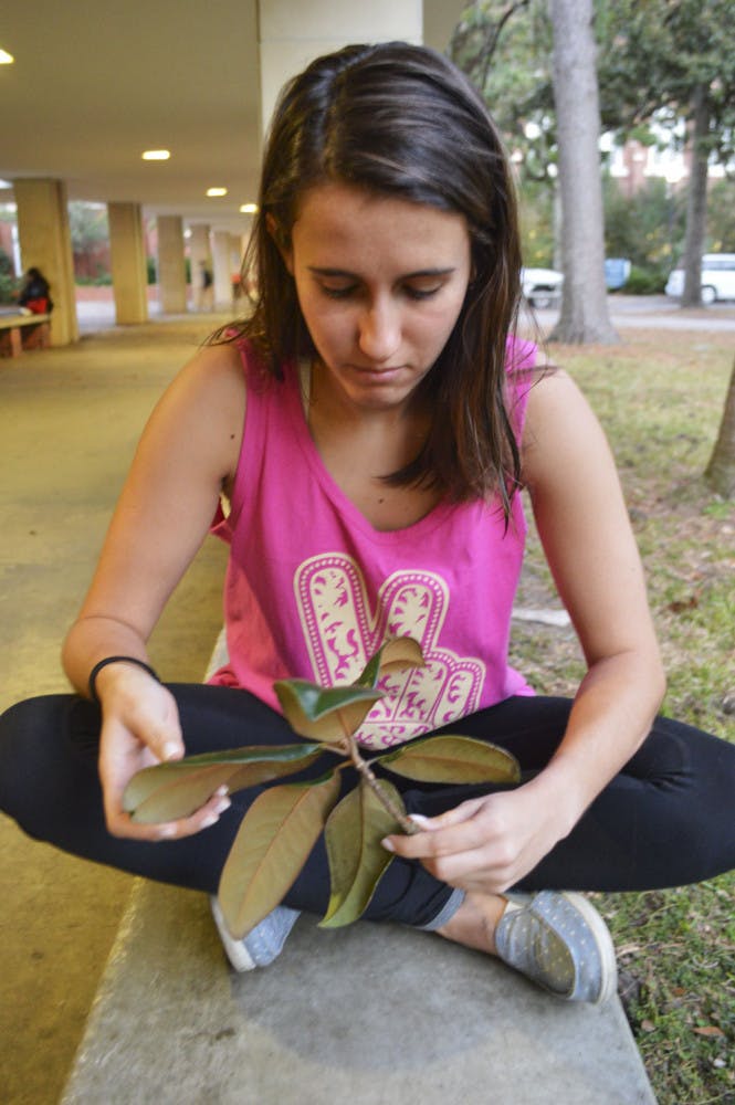 Luiza Costa, 21, studies for her finals outside Library West in a not-so-traditional way. “A huge part of my grade in my dendrology class is being able to identify leaves of different trees,” said the UF natural resource conservation junior. “It isn’t easy, but it’s more interesting than reading a book.”