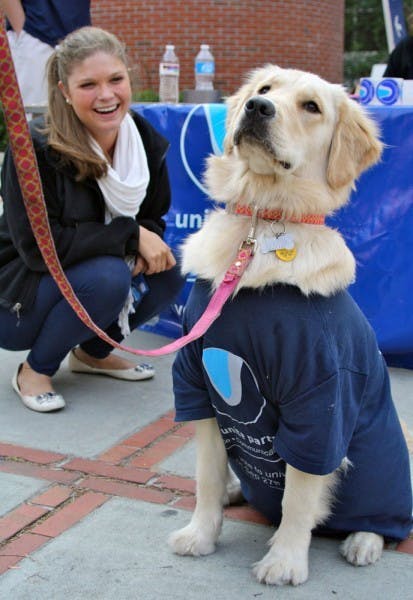 Public relations sophomore Lauren Verno campaigns with Rory the dog. She is running for a seat with the Unite Party.