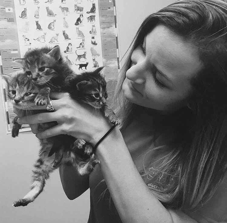 Olivier, foster and adoption coordinator at Alachua County Humane Society, holds three of seven kittens from the "F" litter at a check-up in May. The kittens were 3 days old when Olivier drove to pick them up in Hawthorne, where kittens were found with their mom on April 5. All seven of them have been adopted.