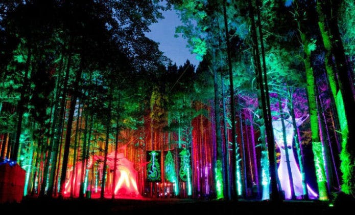 "Electric Forest Music Festival, Rothbury, Michigan" by Adam Rifkin, used under CC BY 2.0
