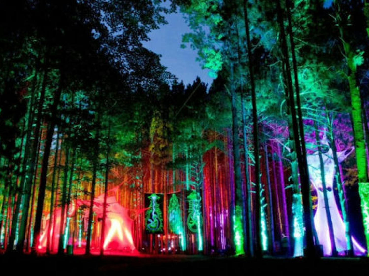 "Electric Forest Music Festival, Rothbury, Michigan" by Adam Rifkin, used under CC BY 2.0