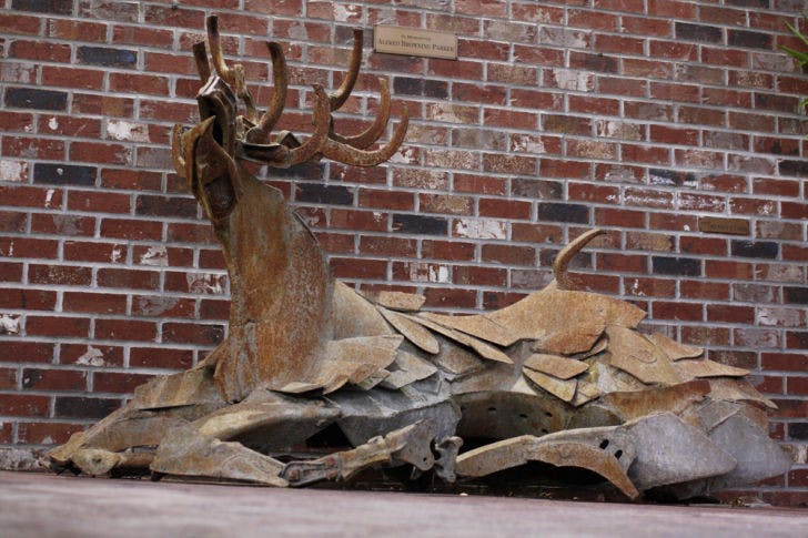 A statue of a metal stag sits outside Persona Vintage Clothing &amp; Costumes on Southeast Second Place. The statue is one of many from the private collection of Alfred Browning Parker. The works debuted Tuesday.