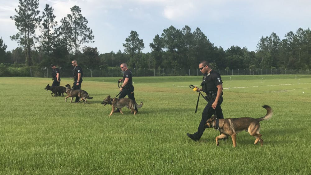 GPD dogs walk with their handlers during obedience training. Part of the training makes sure the dogs will remain next to their handlers when running or walking.