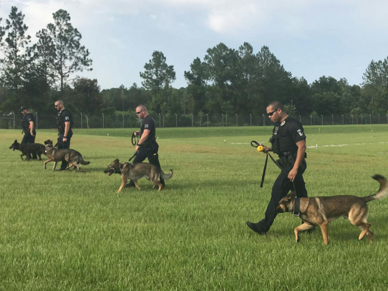 GPD dogs walk with their handlers during obedience training. Part of the training makes sure the dogs will remain next to their handlers when running or walking.