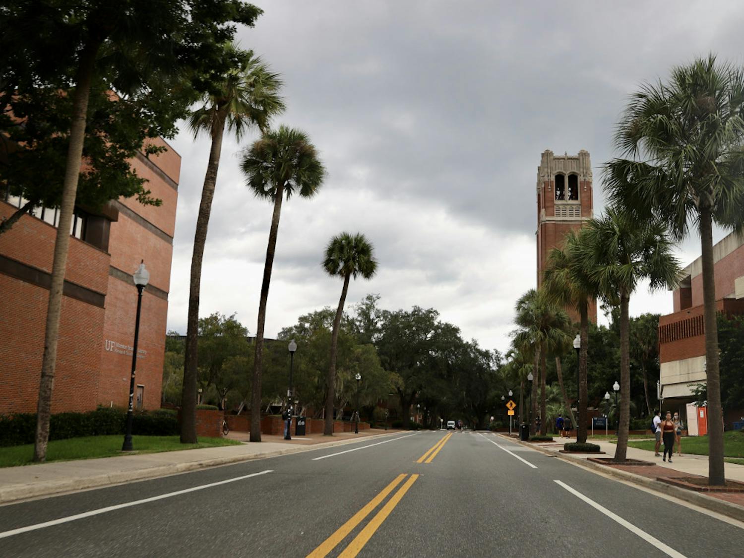 Photo of Newell Drive with Century Tower and Marston Science Library visible in the view
