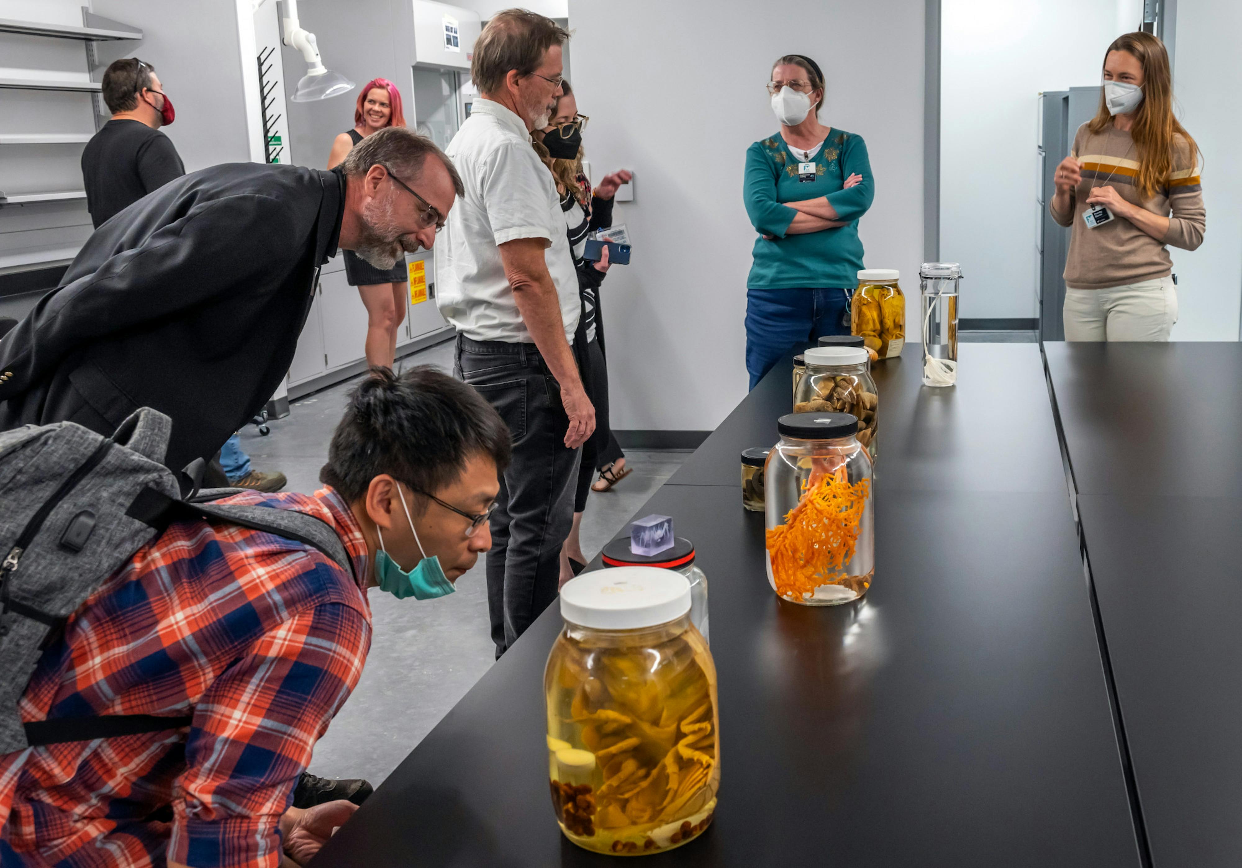 Florida Museum of Natural History to rehouse nearly 200,000 jars of preserved animals - Vimarsana News