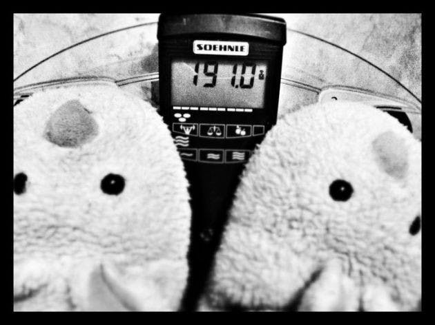 "I'm ready for spring now!" by Wayan Vota, used under CC BY-NC-SA 2.0