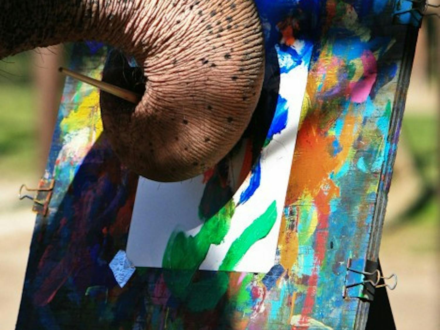 Luke, a 28-year-old Asian elephant, paints a picture for the audience at Two Tails Ranch located in Williston, Florida. The ranch is owned by Patricia Zerbini, 47, who has dedicated her life to training the elephants and studying exotic animals.