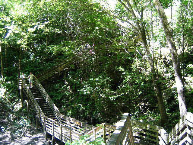 Photo courtesy of www.paulstravelpictures.com/Gainesville-Florida-May-2006/Devils-Millhopper/index.html