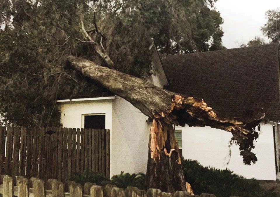 A large, fallen oak tree on a home, located in the 2000 block of Southwest Second Avenue, on Sunday. The tree caused no injuries.
