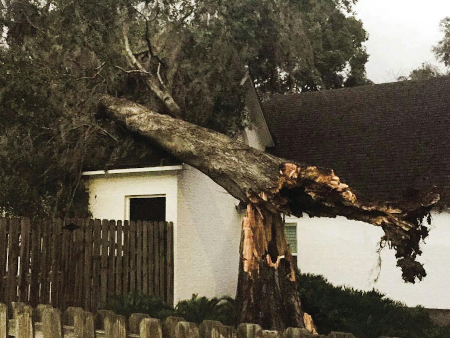 A large, fallen oak tree on a home, located in the 2000 block of Southwest Second Avenue, on Sunday. The tree caused no injuries.
