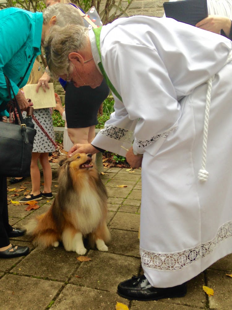 Sadie, a 6-year-old Shetland sheepdog gets blessed by the Rev. Reed Freeman at Holy Trinity Episcopal Church, located at 100 NE First St. before the Sunday service. About 100 animals were blessed during the annual event.