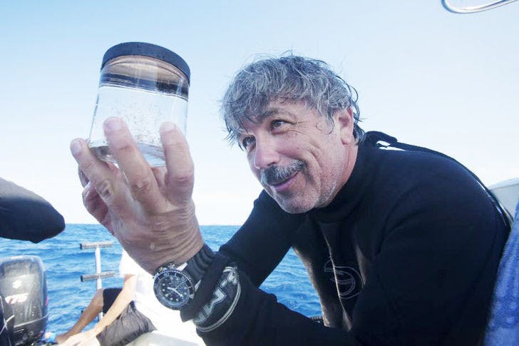 Professor Leonid L. Moroz holds a jar with unique siphonophore species and some comb jellies just recovered from deep blue of Golf Stream. These animals were used for genomic analysis in the Moroz lab.