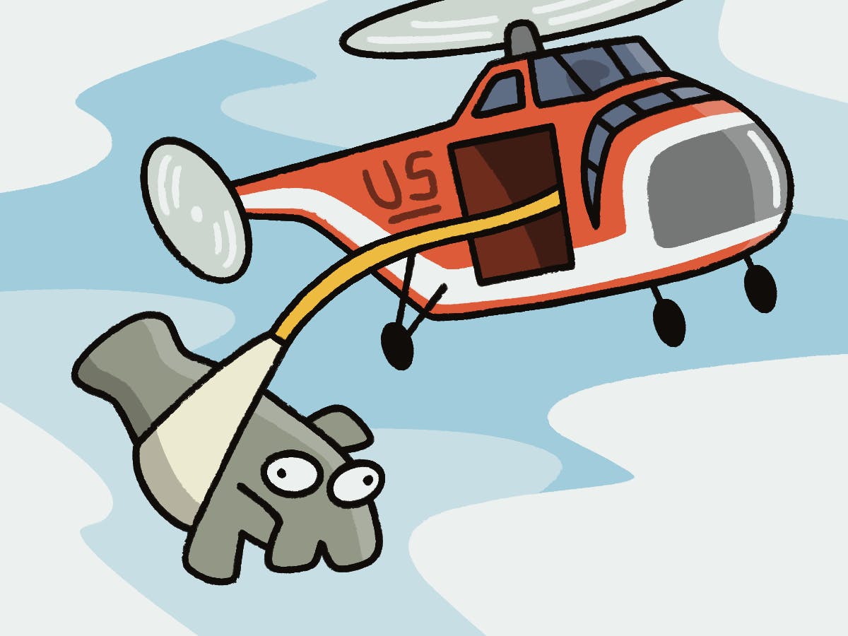 In a heroic rescue that defies all odds, Melby the Manatee was freed from a storm drain by a daring crew of unlikely heroes, including the University of Florida vet rescue team.