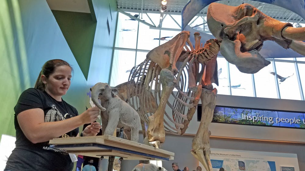 Ariel Bowman, 28, works on a sculpture of a mastodon at the National Fossil Day event at the Florida Museum of Natural History on Saturday. Bowman is a ceramics graduate student who works on sculpting prehistoric creatures. 