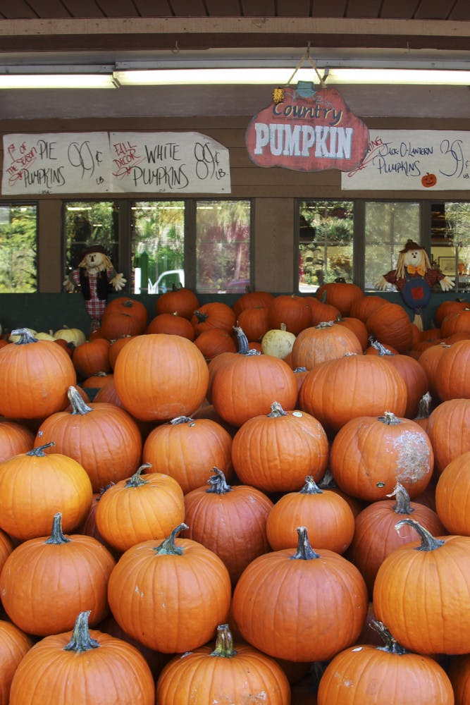 Ward’s Supermarket at 515 NW 23rd Ave. held its 63rd Anniversary Fall Food Festival on Saturday. The event included store sales, product samples, wine tastings and a pumpkin sale.