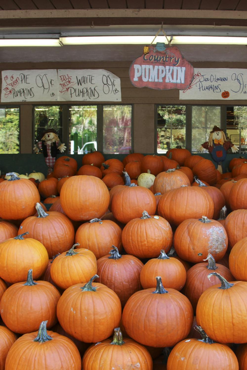 <p class="p1">Ward’s Supermarket at 515 NW 23rd Ave. held its 63rd Anniversary Fall Food Festival on Saturday. The event included store sales, product samples, wine tastings and a pumpkin sale.</p>