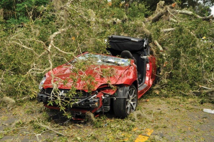 A damaged Mitsubishi Eclipse Spyder sits under a large oak tree Thursday afternoon. Earlier that day, the tree tipped over and landed on West University Avenue, blocking eastbound and westbound traffic for about three hours. A Gainesville Fire Rescue crew freed a 30-year-old woman trapped in the car and rushed her to Shands at UF.