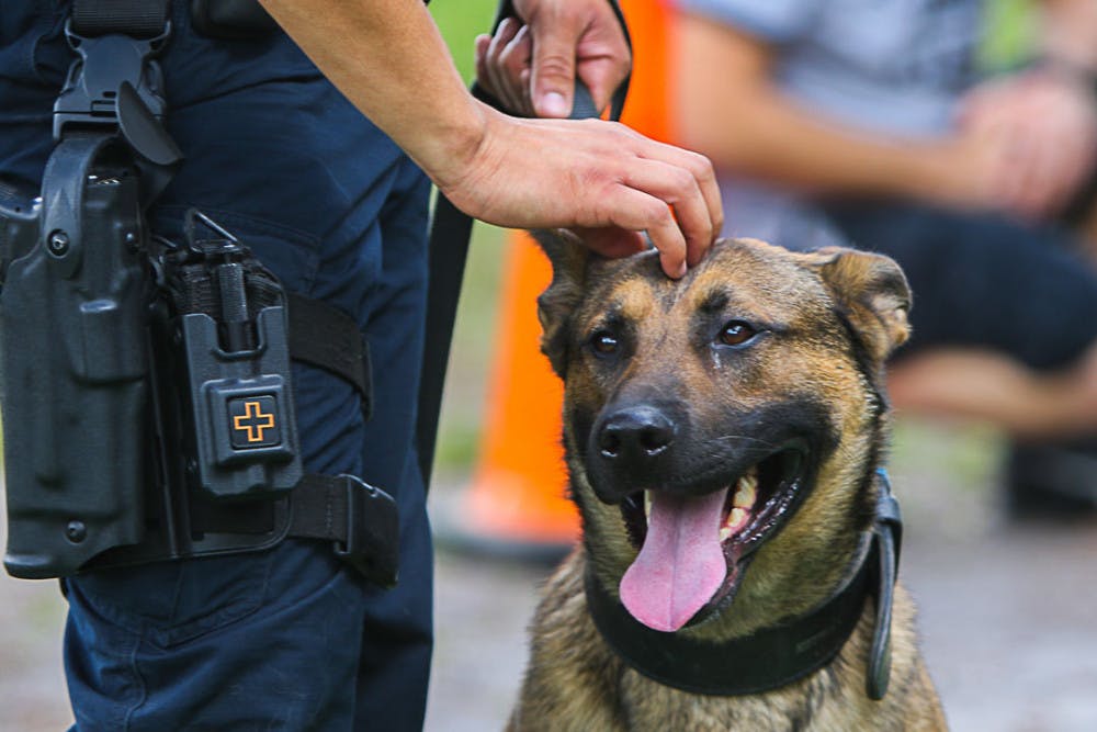 Officer Ed Ratliff pets Ace, 2, Saturday, February 23 during a Gainesville Police Department K-9 unit demonstration at the 2nd Annual Stop Paws Learn event at the Santa Fe College Teaching Zoo. Ace is an apprehension and narcotics certified dog, who is trained to track and find people and drugs for the police department. Ratliff has been working with Ace on the road since the summer of 2018.
