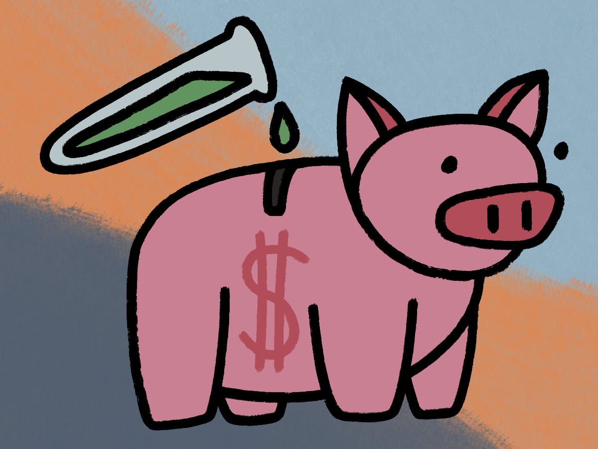 The University of Florida has allocated a record amount of funding for scientific research this year. Here’s what that means for the university and researchers on campus.