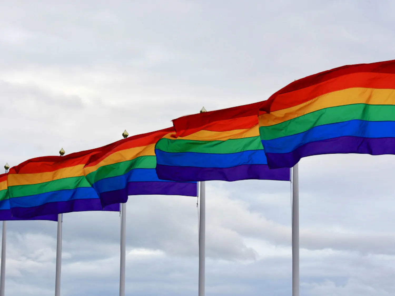 The Gainesville community is hosting a variety of different events to celebrate LGBTQ+ Pride.