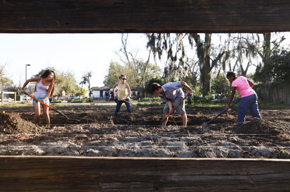 <p>Volunteers and interns prepare soil for planting at the Porters Community Farm and Garden Sunday afternoon during a community potluck and barbecue. Alachua County’s Local Food Week runs until Sunday.</p>