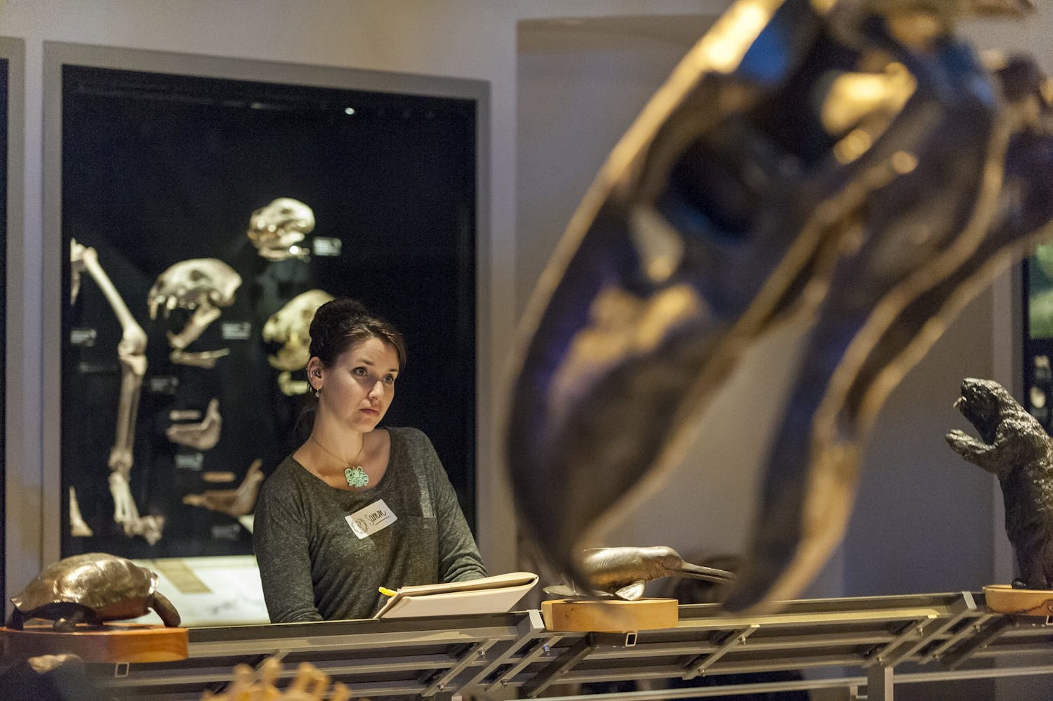 The beauty of science was displayed starting Feb. 8, 2019 at the Florida Museum of Natural History.
