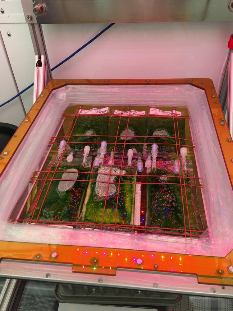 The ground control unit houses a batch of algae that will remain on Earth as a control group in the experiment.&nbsp;