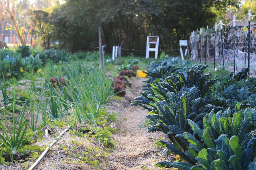 teaching garden