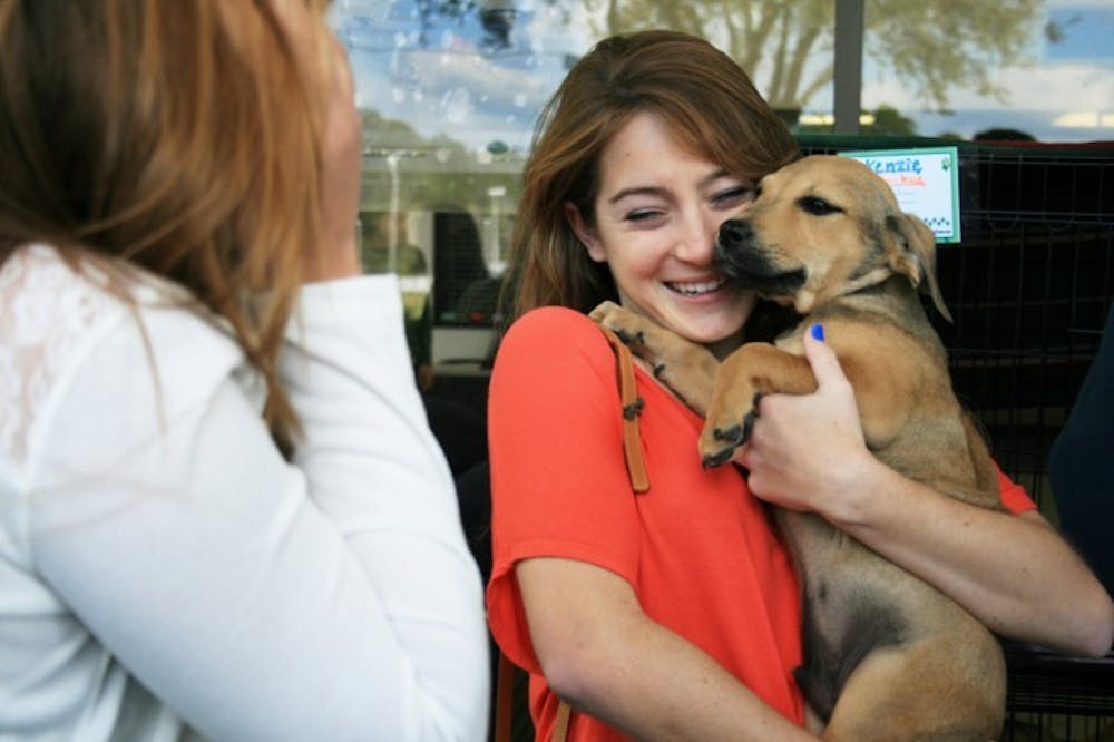 <p>Emily Rizzo, an 18-year-old animal science freshman, plays with puppies at the Share the Love animal adoption event at the Subaru of Gainesville dealership Saturday afternoon. Subaru paid the adoption fee and donated $100 for every dog adopted.</p>