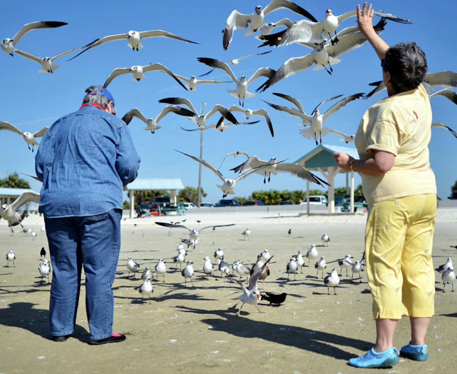 Grimes, left, and Petersen, right, feed crackers to the birds surrounding them.