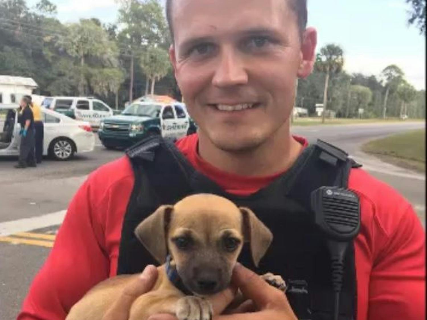 When checking the car, deputies found a small, brown dachshund puppy in the back seat.
