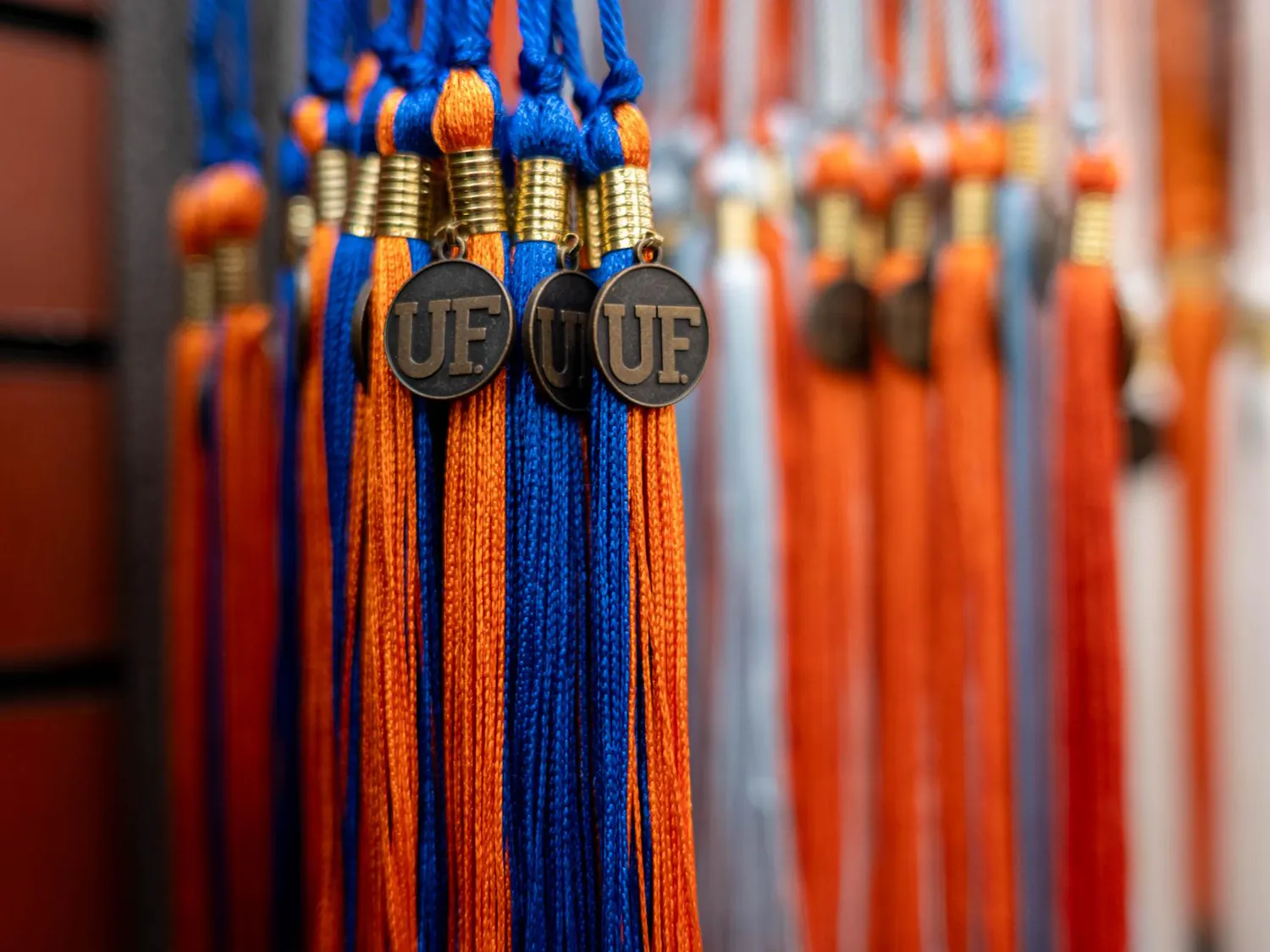 Graduation tassels sit on sale at the UF Bookstore in the Reitz Union, Friday, April 10, 2026, in Gainesville, Fla.
