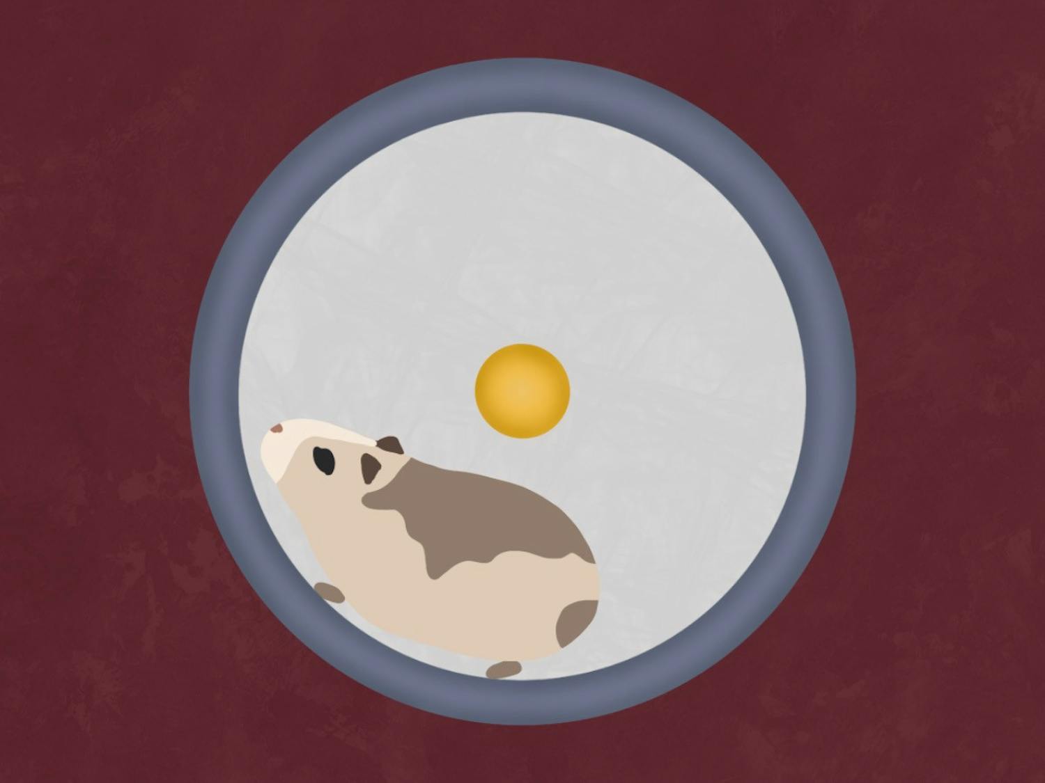 Timmy the hamster was killed by a University of Florida student in Broward West 4th floor common area on Sept. 11, 2024.