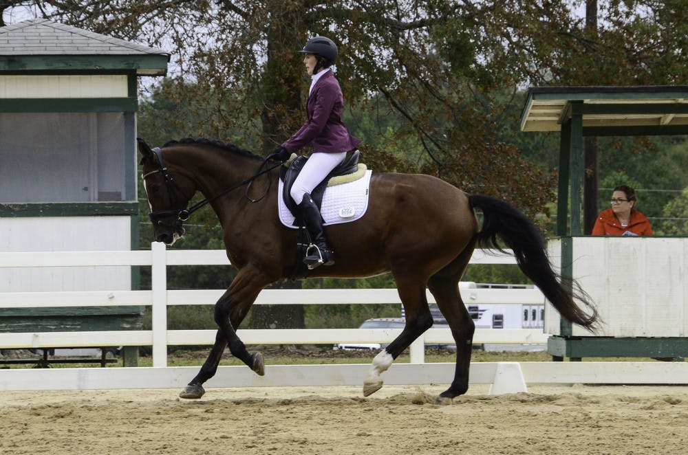 <p>Danielle Ammeson rides her American Warmblood dressage horse, Casino Royale, during the U.S. Dressage Federation Regional Competition in October.</p>