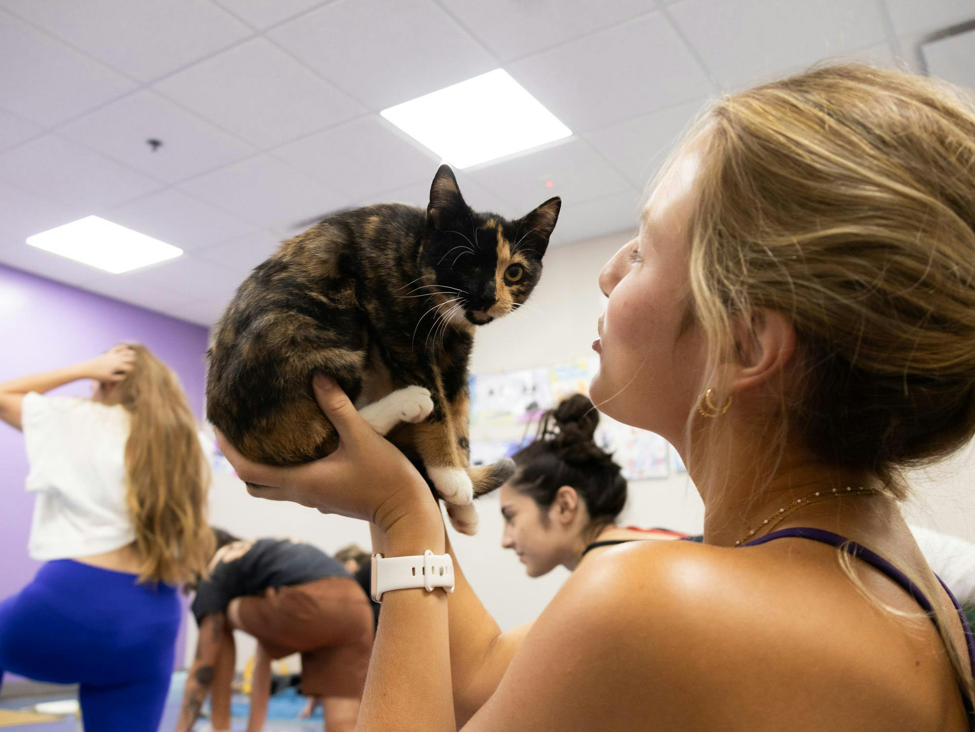 Kitten yoga classes hosted by the Humane Society of North Central Florida on Saturday, Aug. 29, 2026, in Gainesville, Fla.