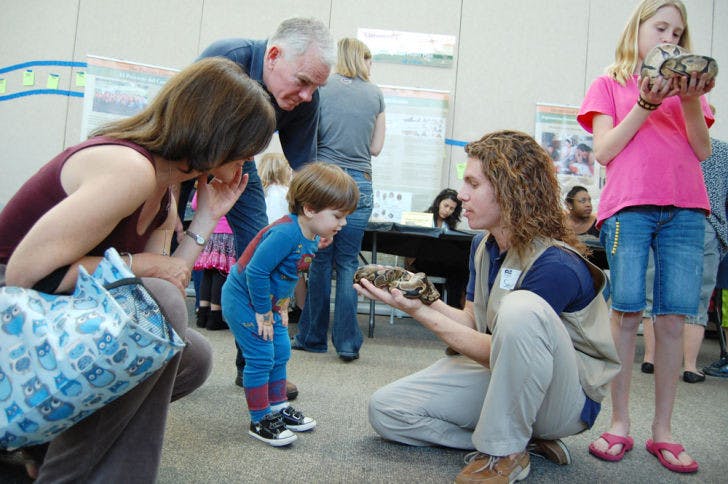 Wildlife ecology and conservation freshman Sean Tupper, 19, holds out a ball python snake to visitors at the Florida Museum of Natural History Saturday afternoon as part of their exhibit Titanoboa: Monster Snake.