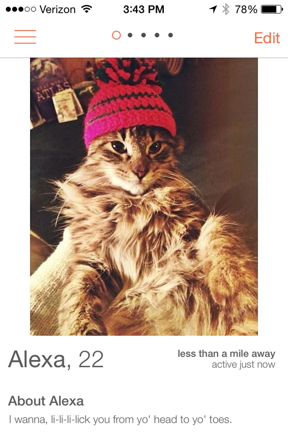 <p class="p1"><span class="s1">Tinder is a dating app that lets two people strike up a conversation after mutually finding each other attractive. Avenue writer Alexa Volland's kitten Santa Paws, pictured above, had 222 matches in the span of two days.</span></p>