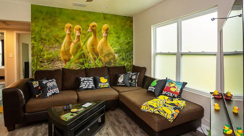 The Duck House Airbnb is filled with duck decor for guests in Pine Park, Gainesville. 