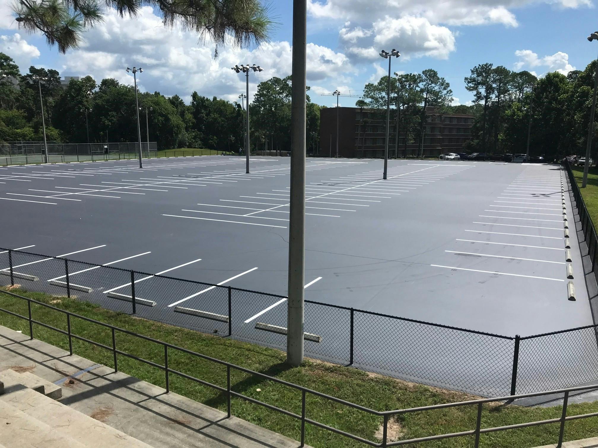 Courtesy to the Alligator