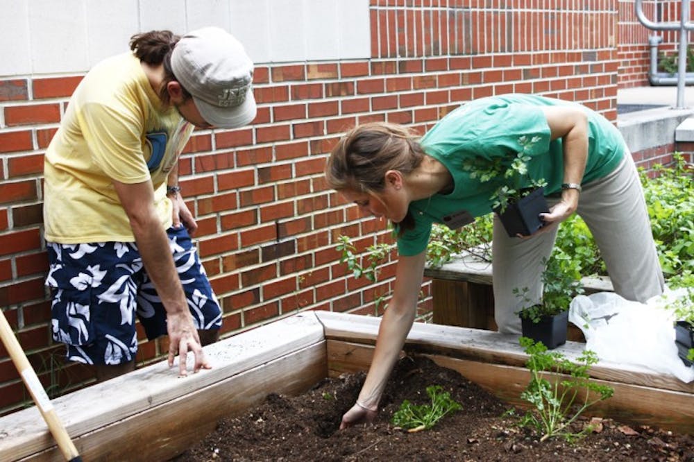 <p>Entomology freshman Andre Szejner, 21, plants herbs next to Gator Corner Dining Center with Leah Chapman, sustainability manager for ARAMARK Higher Education.</p>