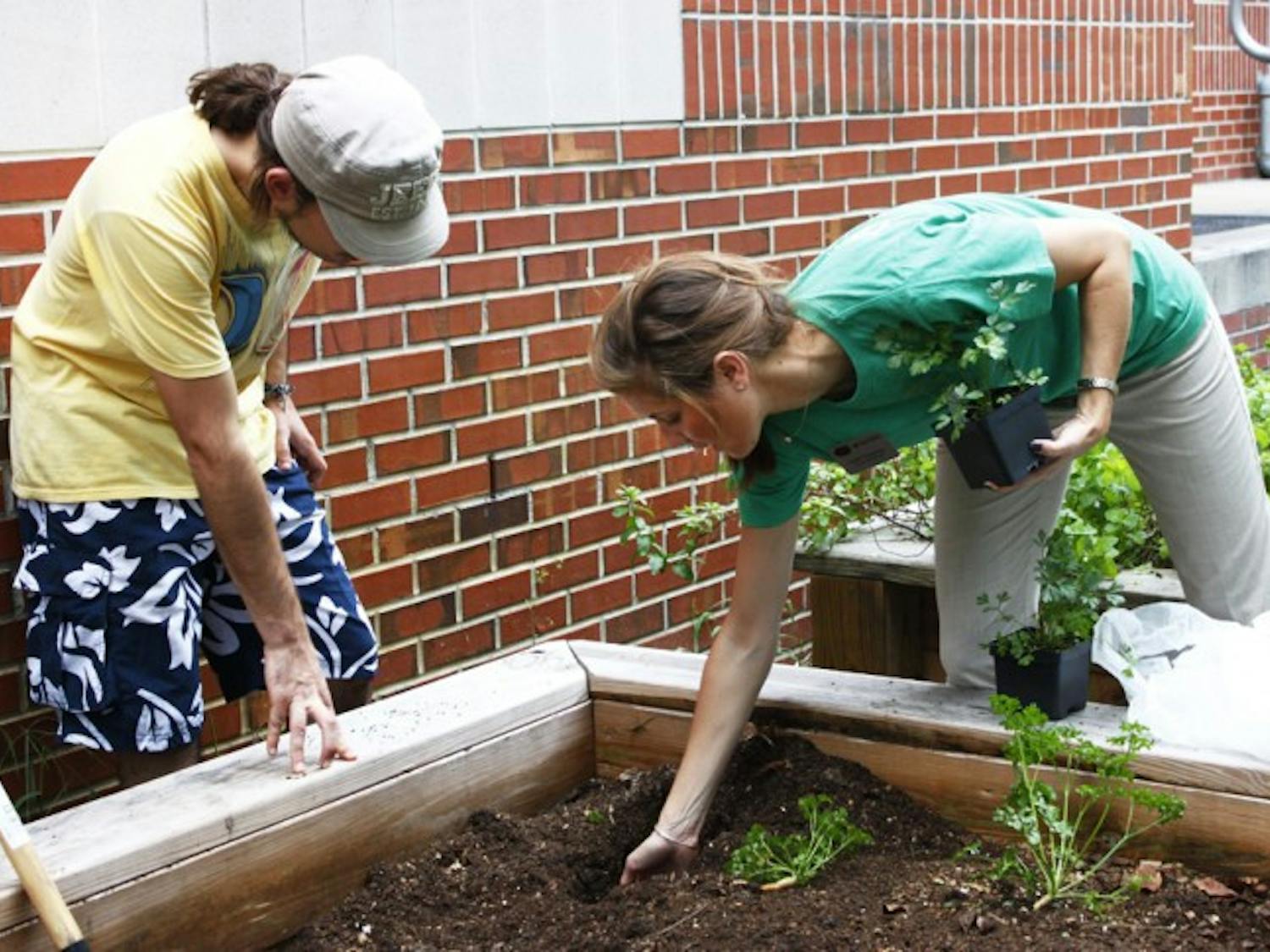 Entomology freshman Andre Szejner, 21, plants herbs next to Gator Corner Dining Center with Leah Chapman, sustainability manager for ARAMARK Higher Education.