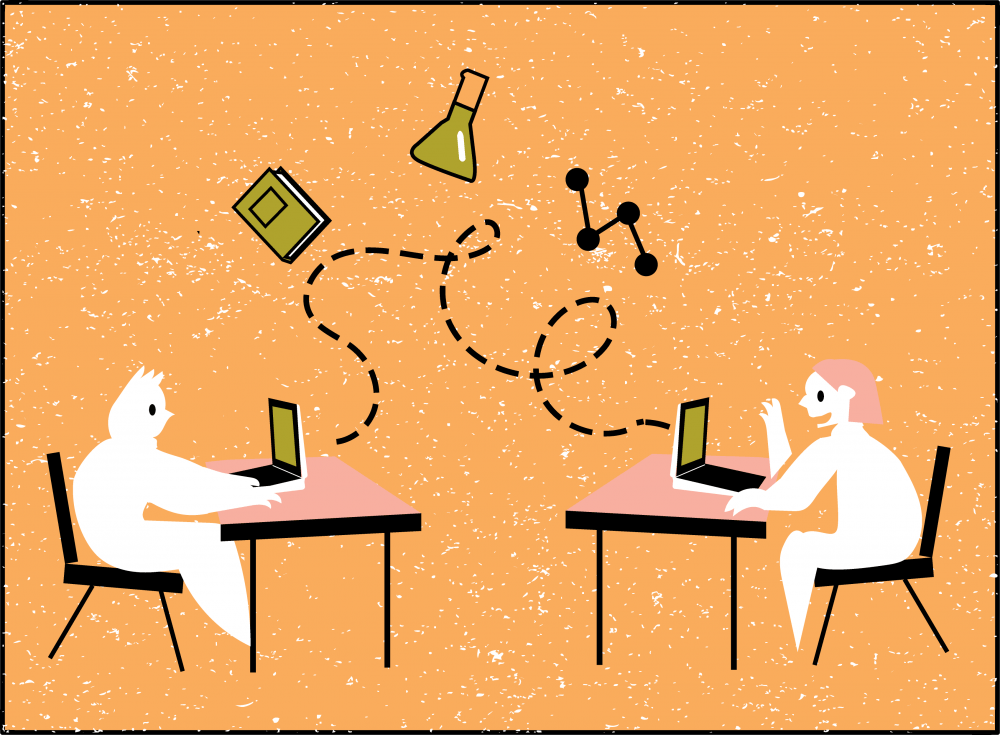 Knack tutoring online