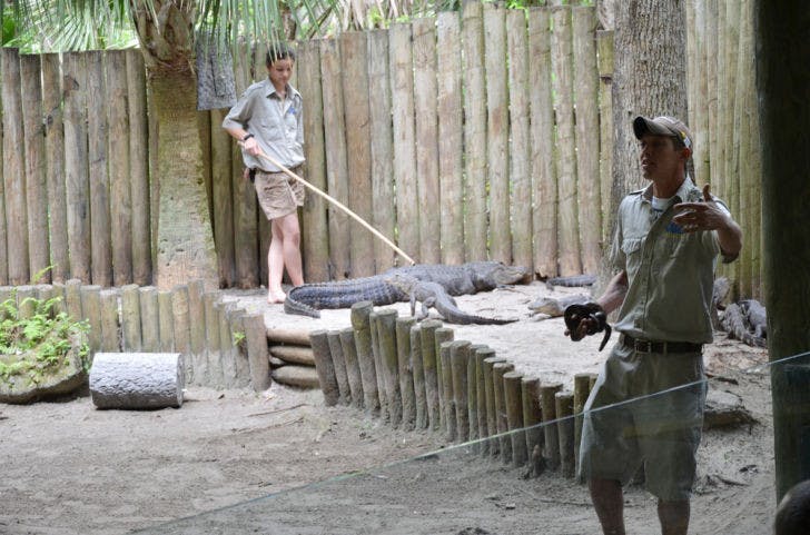 Stephanie McQuillen, left, and Stan Miller explain the types of reptiles at the live exhibition show at Ross Allen Island in the Silver Springs Nature Theme Park on Sunday.