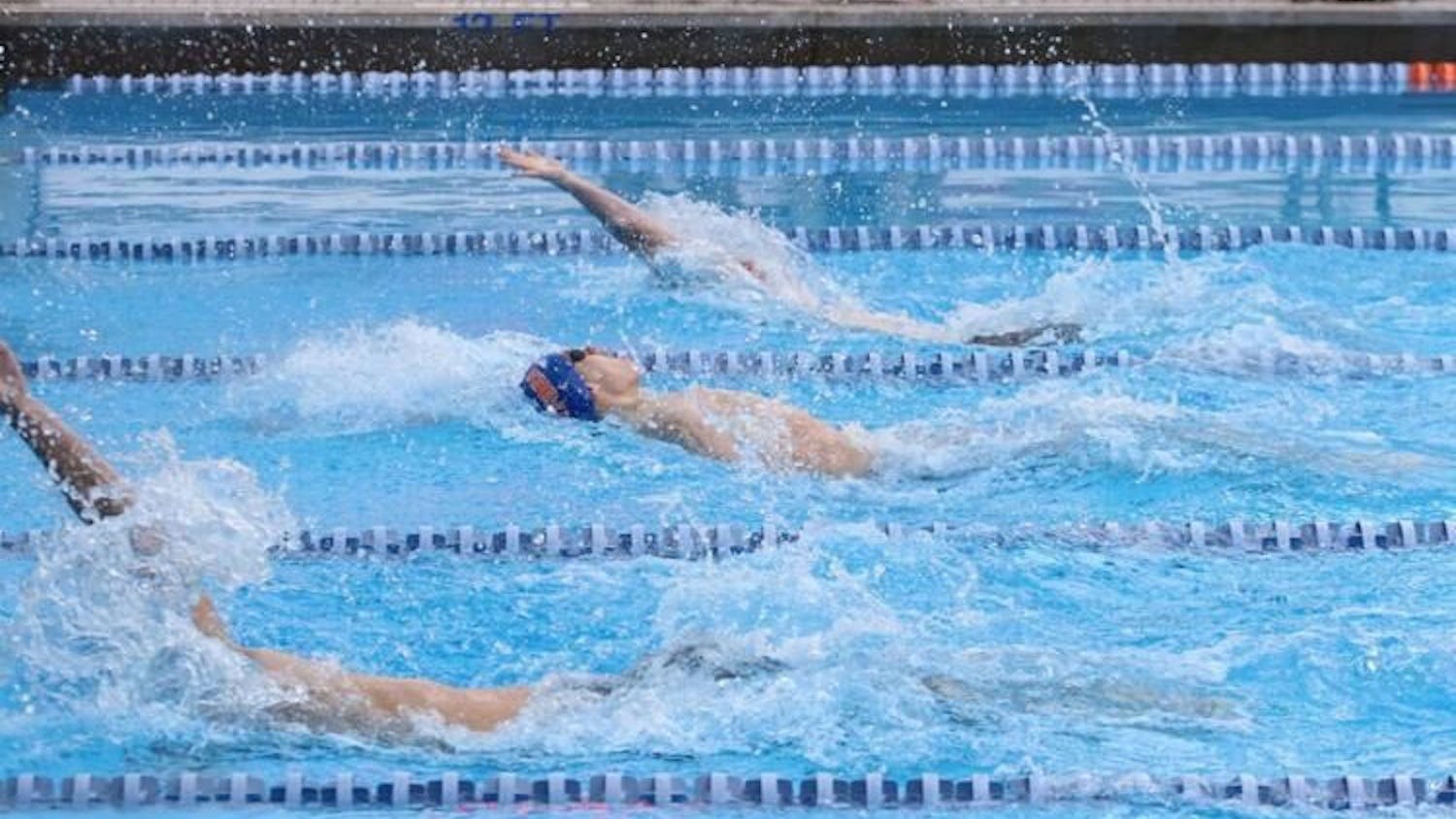 The Florida men&#x27;s swim team racked up the accolades on its way to a first place finish at the SEC Championship. 