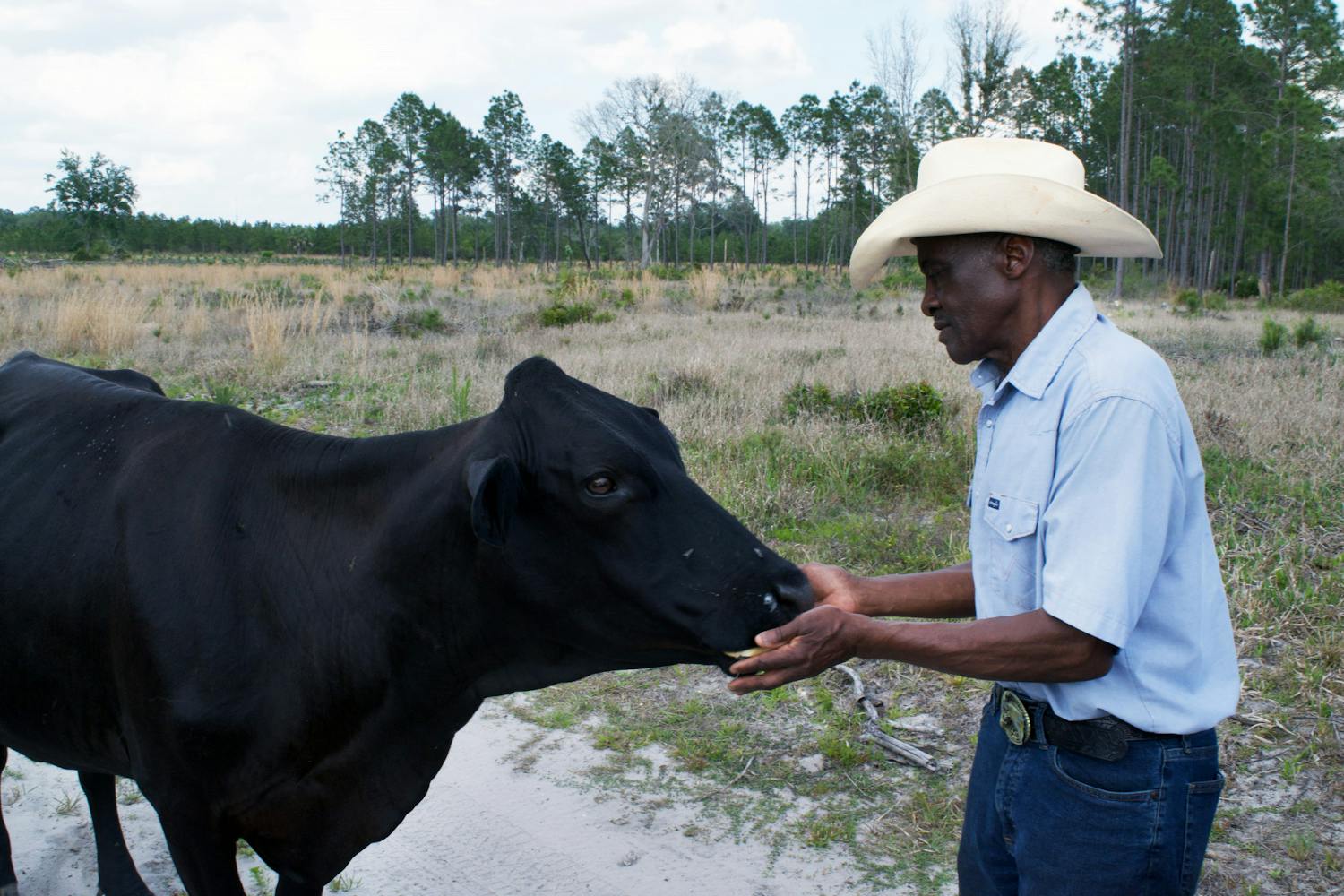 Farmer John Nix feeds bread to one of his escaped cows before taking them back to the pasture Saturday, April 15, 2023.