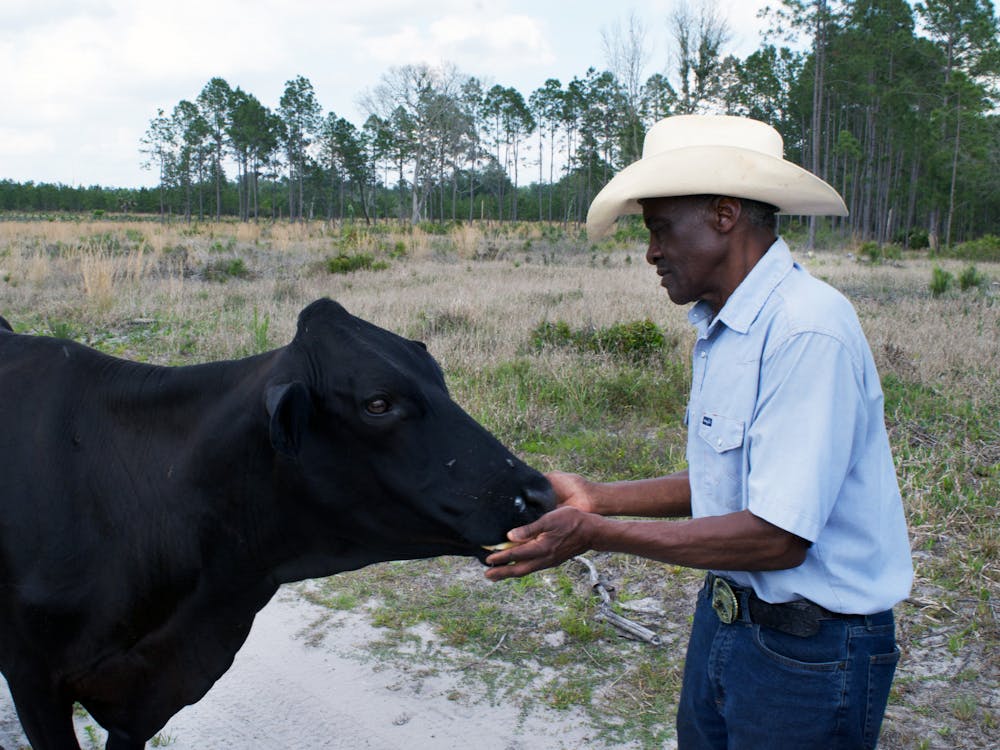 John Nix feeds his cattle