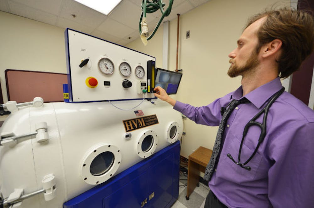 <p>UF clinical assistant professor of integrative medicine Justin Shmalberg demonstrates how the hyperbaric chamber works at UF’s Small Animal Hospital on March 11.</p>