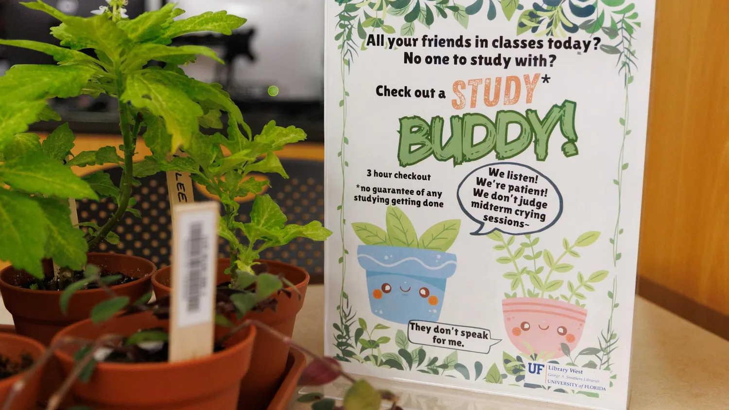 A sign for a studdy buddy program at the University of Florida’s Library West, Friday, April 10, 2025.