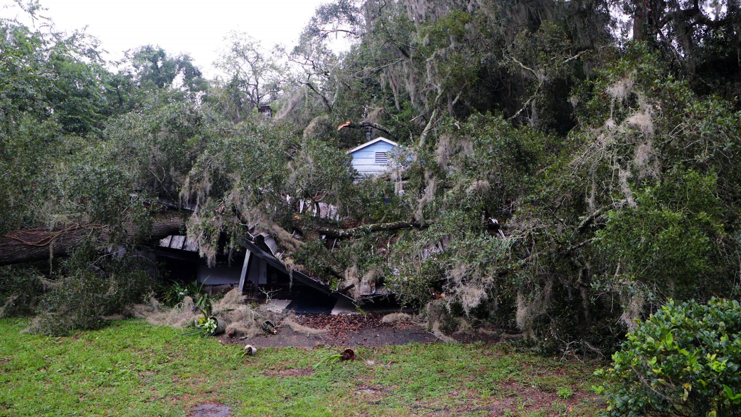 A tree smashes through a house in the Stephen Foster neighborhood the day Hurricane Ian hit Gainesville Wednesday, Sept. 28, 2022.